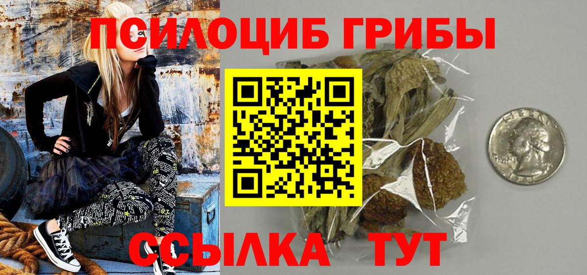 Партизанск  Галлюциногенные грибы мухоморы  Вход с VPN 
